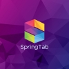 SpringTab acquires €24,000 investment by winning at Bbooster Week